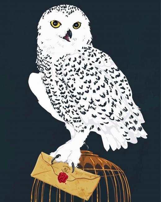 Harry Potter Hedwig - Paint By Numbers - Num Paint Kit