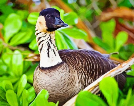 Hawaiian Goose paint by numbers