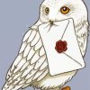 Hedwig Owl Bird Harry Potter paint by numbers