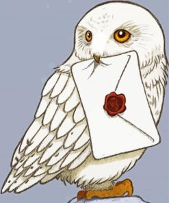 Hedwig Owl Bird Harry Potter paint by numbers