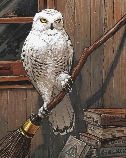 paint by numbers kit Harry Potter Hedwig