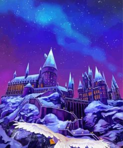 Hogwarts Castle Harry Potter paint by numbers