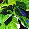 Hosta Art paint by numbers