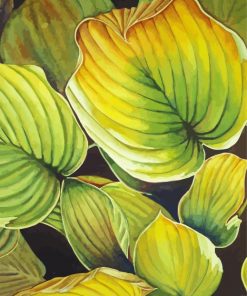 Hosta Plant Art paint by numbers