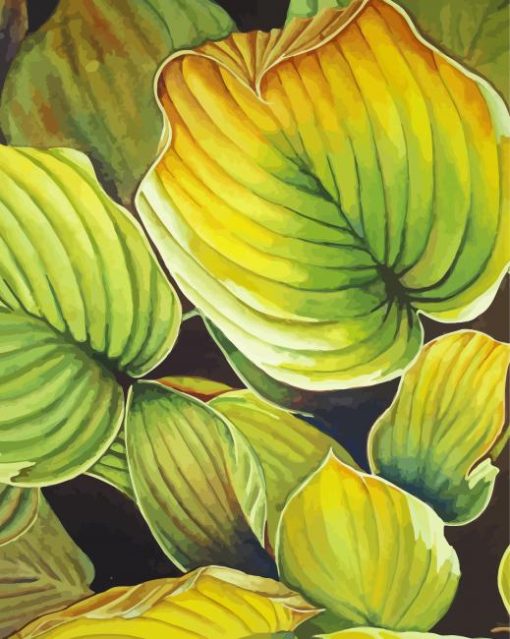 Hosta Plant Art paint by numbers