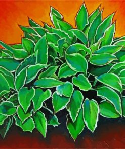 Hosta Plants Art paint by numbers