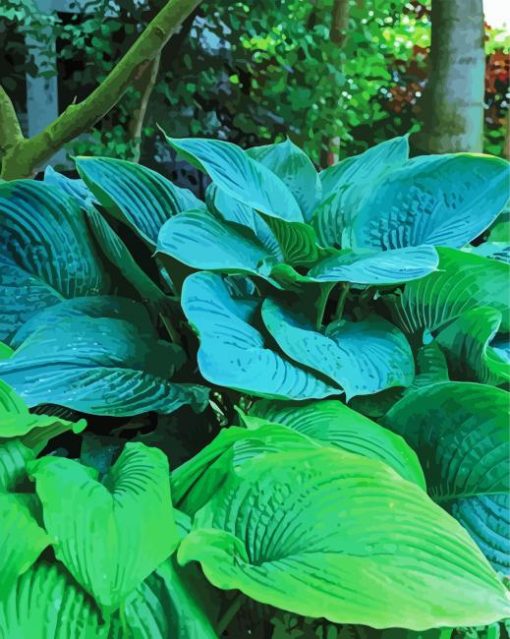 Hostas Plant paint by numbers