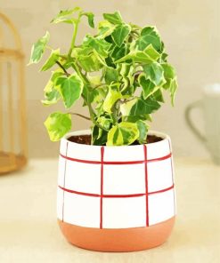 Lvy Plant Pot paint by numbers