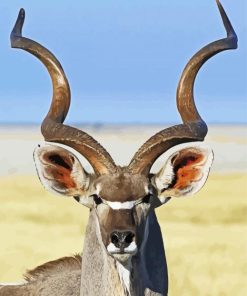Kudu Animal Close Up paint by numbers
