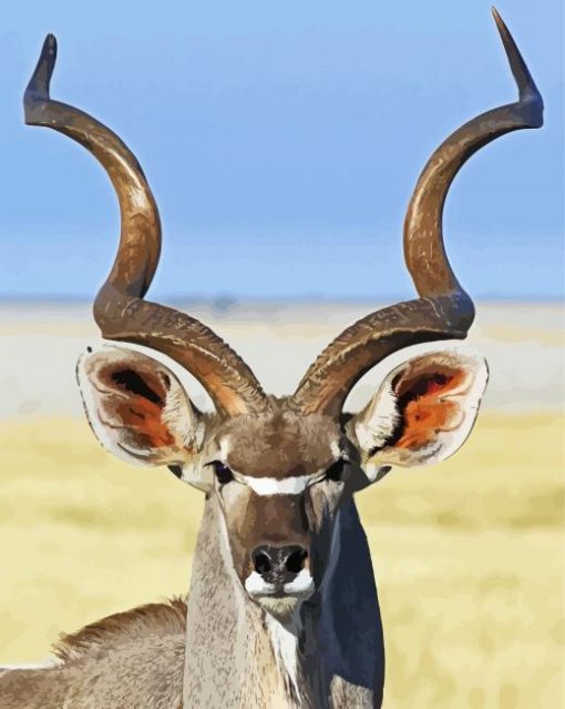 Kudu Animal Close Up paint by numbers