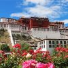 Lhasa Potala Palace paint by numbers