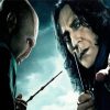 Lord Voldemort And Professor Severus paint by numbers