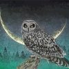 Moonlight Owl paint by numbers