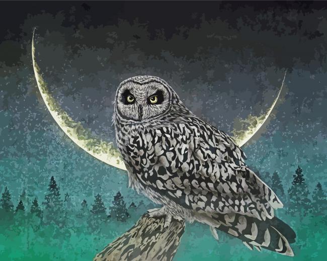 Moonlight Owl paint by numbers
