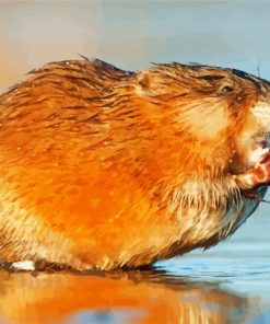 Muskrat paint by numbers