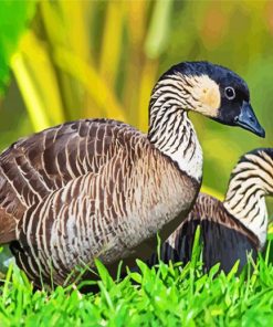 Nene Geese paint by numbers