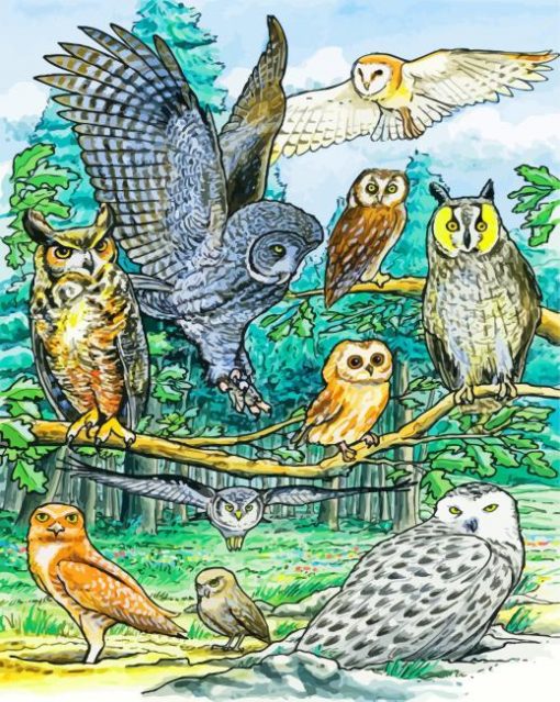 North American Owls paint by numbers