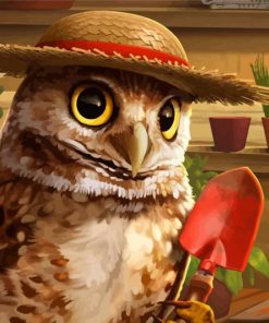 Owl in Hat paint by numbers
