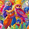 Owls Birds Art paint by numbers