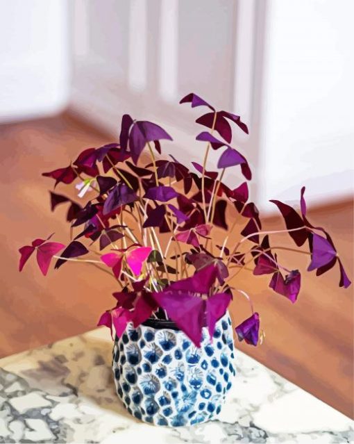 Oxalis Plant Pot paint by numbers