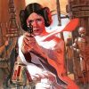Princess Leia Star Wars paint by numbers