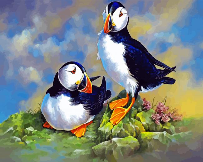 Puffin Birds paint by numbers