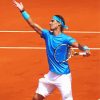 Rafael Nadal Spanish Tennis Player paint by numbers