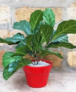 Red Plant Pot Fiddle Leaf Fig paint by numbers