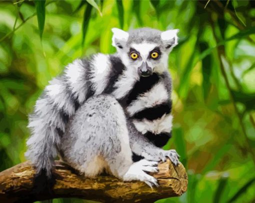 Ring Tailed Lemur Primate paint by numbers