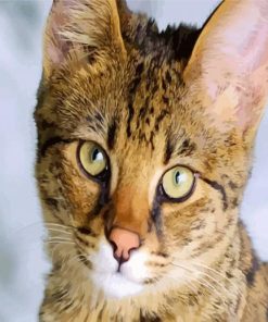 Savannah Cat Face paint by numbers