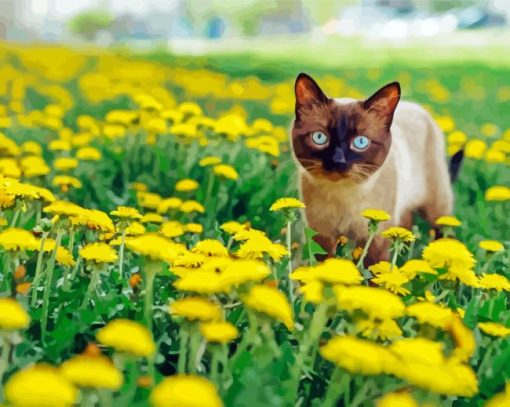 Siamese Cat in Garden paint by numbers