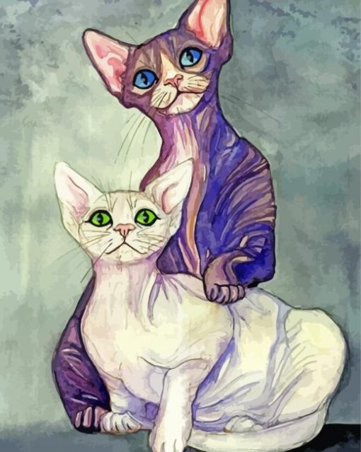 Sphynx Cats Art paint by numbers