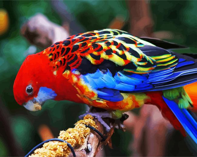 The Eastern Rosella Bird Paint By Number