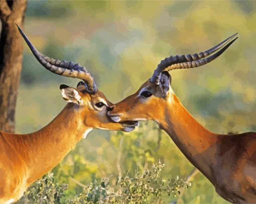 Wild Impalas Antelope paint by numbers