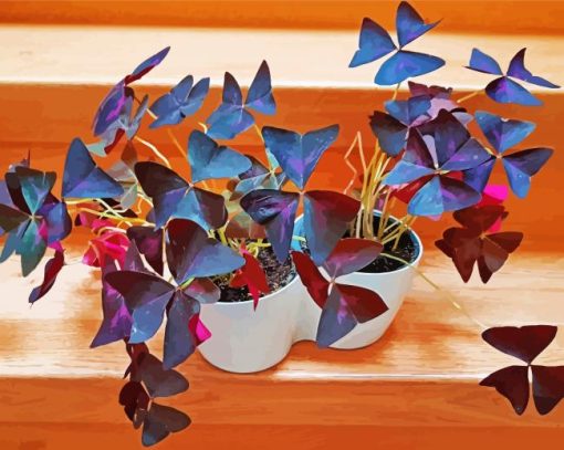 Wood Sorrels Oxalis Plant Pots paint by numbers
