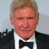 Actor Harrison Ford Celebrity paint by numbers