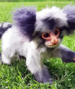 Adorable Marmoset paint by numbers