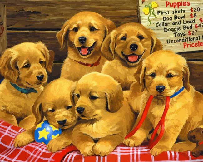 Adorable Puppies paint by numbers