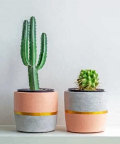 Aesthetic Cactus Pots paint by numbers