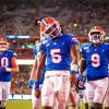 Aesthetic Florida Gators Players paint by numbers