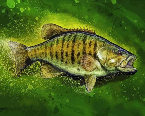 Aesthetic Smallmouth paint by numbers