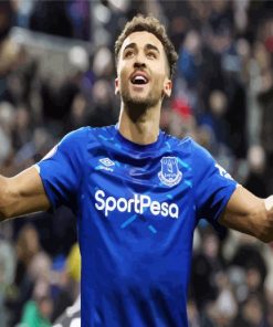 Aesthetic Everton Dominic Calvert Lewin paint by numbers