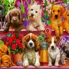Aesthetic Puppies paint by numbers