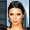 Beautiful Kendall Jenner paint by numbers