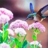 Beautiful Blue Hummingbird paint by numbers