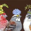 Birds with Hats paint by numbers