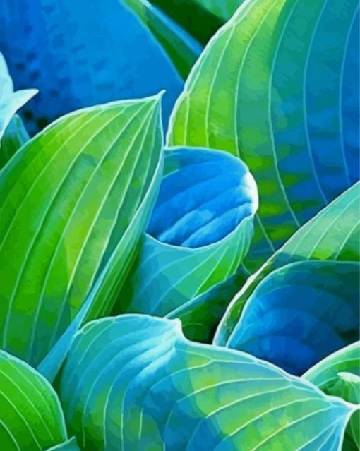 Blue and Green Hosta Art paint by numbers