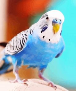 Blue Bird Budgerigar paint by numbers