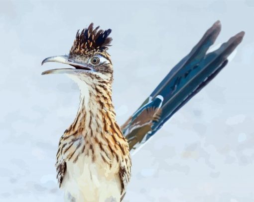 Blue Tailed Roadrunner paint by numbers