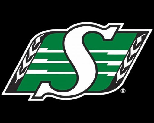 Cool Saskatchewan Roughriders Logo paint by numbers